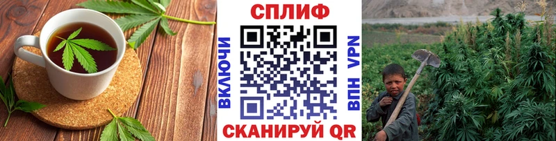 MEGA как войти  Соль-Илецк  Еда ТГК марихуана  даркнет сайт 
