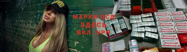 ГАЛЛЮЦИНОГЕННЫЕ ГРИБЫ Балабаново