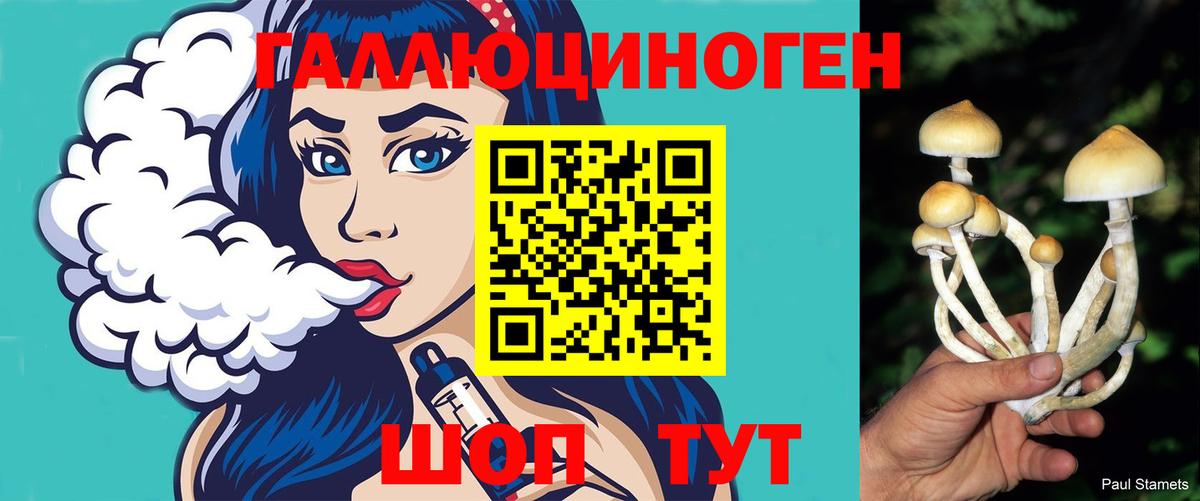 Соль-Илецк  дарнет шоп  Вход с VPN  Галлюциногенные грибы Magic Shrooms 