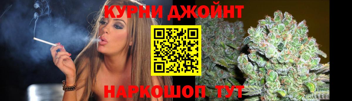 Бошки Шишки конопля Соль-Илецк